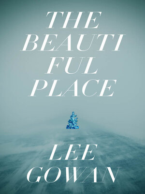 cover image of The Beautiful Place